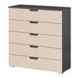 Aditio Wide Chest - 5 Drawer - Metallic Dark Grey & Champagne