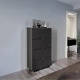 Rauch Erimo 4 Drawer Narrow Chest - Graphite and Basalt Glass