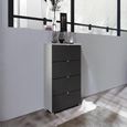Rauch Erimo 4 Drawer Narrow Chest - Silk Grey and Basalt Glass