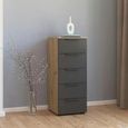 Rauch Flipp 5 Drawer Tall Chest with Adjustable Height - Artisan Oak and Graphite