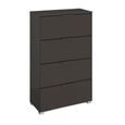 Rauch Skat Meridian 4 Drawer Narrow Chest - Graphite