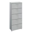 Rauch Skat Meridian 5 Drawer Tall Chest - Silk Grey and Silk Grey Glass