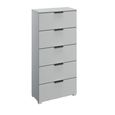 Rauch Skat Meridian 5 Drawer Tall Chest - Silk Grey
