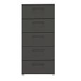 Rauch Skat Shine 5 Drawer Tall Chest - Graphite