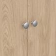 Madrid Wardrobe - 2 Door - Jackson Hickory Oak