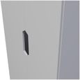 Bella Grey 2 Door Plain Tall Wardrobe