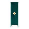 Elderon Wardrobe - 2 Door - Green - Mango Wood