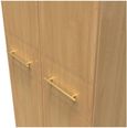 Faye Oak Effect 2 Door Plain Tall Wardrobe