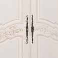 French Style Armoire Wardrobe - Lomira White Carved - 2 Door