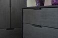 Hong Kong Black 2 Door 2 Drawer Tall Wardrobe