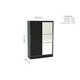 Lynx Sliding Mirror Wardrobe - 2 Door - Black Gloss