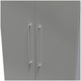 Paris Grey Gloss 2 Door Plain Tall Wardrobe