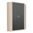 Rauch Celle Matt 117cm 2 Door Corner Wardrobe - Champagne and Metallic Dark Grey