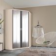 Rauch Celle Matt 117cm 2 Door Corner Wardrobe with Mirror - Champagne and Metallic Dark Grey