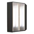 Rauch Celle Matt 117cm 2 Door Corner Wardrobe with Mirror - Metallic Dark Grey and Champagne