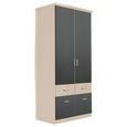 Celle Super Wardrobe - 91cm - 2 Door - 4 Drawer - Champagne & Metallic Dark Grey