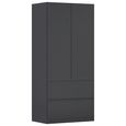 Rauch Costa 91cm 2 Door Wardrobe with Drawers - Metallic Dark Grey