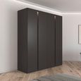 Rauch Luana 201cm 4 Door Wardrobe with Lighting - Graphite and Atlantic Dark Oak