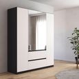 Rauch Mainz Plus 181cm 4 Door Combi Wardrobe - Metallic Dark Grey and White High Gloss