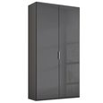 Rauch Miramar Type-5 101cm 2 Door Wardrobe - Graphite and Basalt Glass