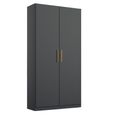 Rauch Skandi 91cm 2 Door Wardrobe - Metallic Dark Grey