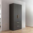 Rauch Skandi 91cm 2 Door Wardrobe with Drawer - Metallic Dark Grey