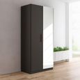 Rauch Skandi 91cm 2 Door Wardrobe with Mirror - Metallic Dark Grey