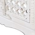 Yakima Wardrobe - 2 Door - White Carved - Mango Wood