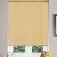 Alexa Roller Blind - Butter