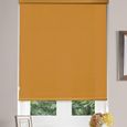 Alexa Roller Blind - Mustard