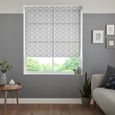 Camillo Roller Blind - Ash