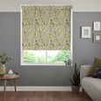 Casio Roller Blind - Zest