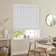 Conte Roman Blind - Platinum