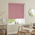Curio Roller Blind - Chilli