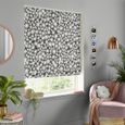 Daisy Roman Blind - Black