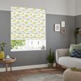 Dino Roar Roman Blind - Multi