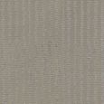 Duke Roller Blind - Champagne