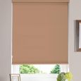 Gravity Roller Blind - Peach