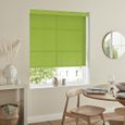 Hermoso Roller Blind - Kiwi