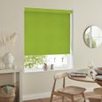 Lena Roller Blind - Kiwi