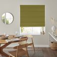 Mina Roman Blind - Zest