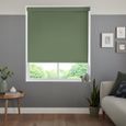 Miranda Roller Blind - Eucalyptus