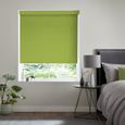 Miranda Roller Blind - Grass