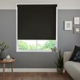 Miranda Roller Blind - Pitch