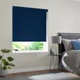 Renard Roller Blind - Ink
