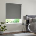 Renard Roller Blind - Mercury