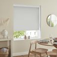 Renard Roller Blind - Mist