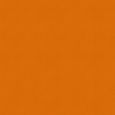 Renard Roller Blind - Orange