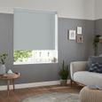 Renard Roller Blind - Silver