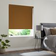 Renard Roller Blind - Terracotta